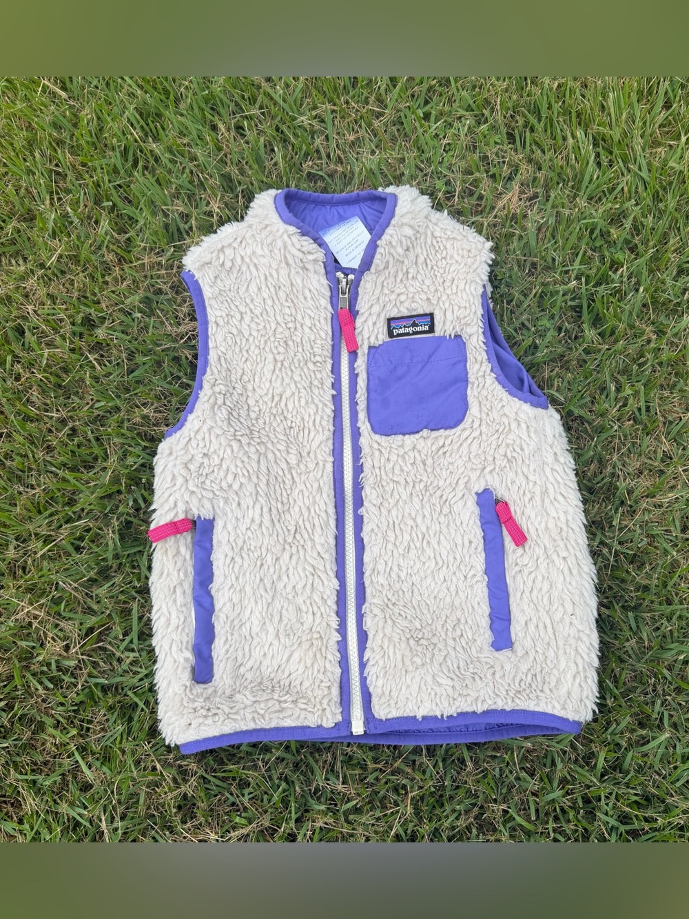 Patagonia Retro-X Vest purple